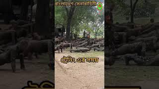 বাংলাদেশ সেনাবাহিনী|সেনাবাহিনীর ট্রেনিং| #bangladesharmy #funny# army training#shortsfeed #trending