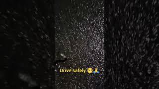 Drive Safely  #shorts #viral #snake #respect