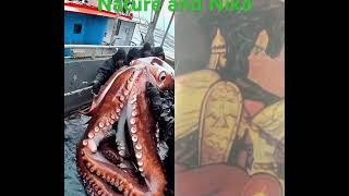 Nature and Niko #octopus #squid #travel #giantcreatures #ocean #marinecreatures #whale #oceancreatur