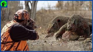 How Do Hunters Deal With Thousands Of Ferocious Komodo Dragons | Farming Documentary