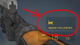 Half-Life 2 Rebel Cat