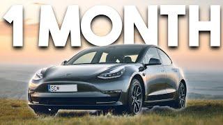 2023 Tesla Model 3 One Month Later - Is the Cheapest Tesla Worth it??