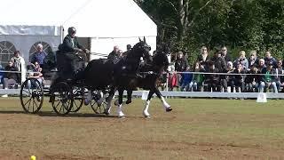 02 ROHRSSEN, Volke, IRL, Cones   Winning Round, CHIO Donaueschingen, 15 09 2024