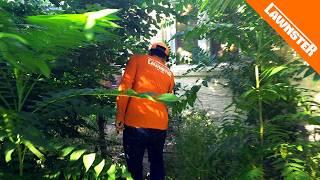 We MOWED and Cleared a JUNGLE in This Family's Backyard for FREE!