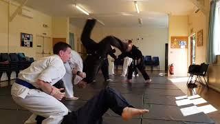 Japanese Jujitsu Purple Belt Grading