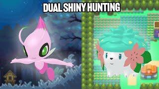 Dual Legendary Pokemon Shiny Hunting 