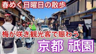 2025年3月9日 外国人観光客で賑わう春めいて来た京都祇園を歩く Walking around Gion, Kyoto 【4K】