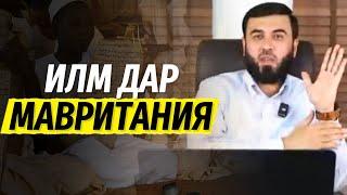 Илм дар Мавритания