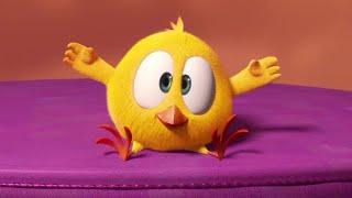 Chicky strikes a pose! | Where's Chicky? | Cartoon Collection in English for Kids | New episodes