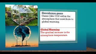 Gr12 Economics(P2) : Environmental Sustainability