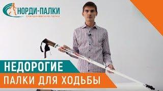 Недорогие скандинавские палки для ходьбы Finpole ECO 20 CARBON