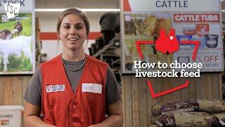 How to Choose Livestock Feed | Tractor Supply Co.