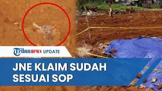 Heboh Temuan Beras Bansos dari Jokowi sebanyak 1 Kontainer Dikubur di Depok, JNE Ungkap Penyebabnya