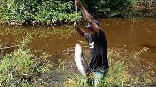 REKOR TER CEPAT MANCING TOMAN DI RAWA ANGKER MAS BROO !!...