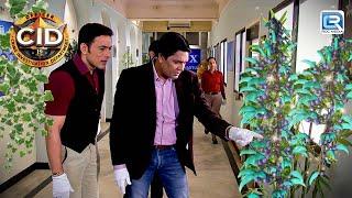 Team CID को मिला Hospital में एक जादुई Plant | CID | Full Episode