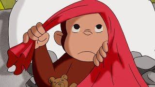 Curious George The Big Sleepy   Kids Cartoon  Kids Movies | Videos for Kids