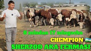 SHERZOD AKA FERMASIDA BO‘MBA AKSIYA BARTER BOR DASTAVKA TEKIN MANA IMKONIYAT