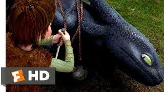 How to Train Your Dragon (2010) - Freeing The Night Fury Scene (1/10) | Movieclips