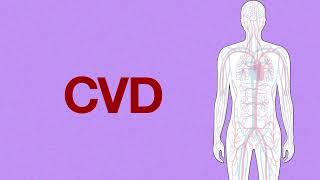 Cardiovascular disease (CVD): What is it? - French