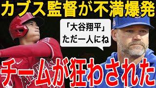 【大谷翔平】エンゼルスに全敗したカブス監督デビッド・ロスが不満爆発！「大谷の一人のせいで、チーム全体が狂ったんだ」【海外の反応/MLB/野球】