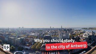 Why study in the city of Antwerp?