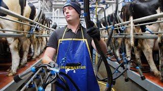 Eddie Walsh milking on a 20 unit Swing Parlour