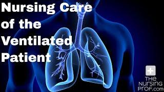 Nursing Care of the Ventilated Patient