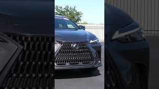 2022 Lexus NX 250 Base | Universal Nissan