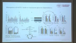 The metabolism of a cancer cell with Anna Karlsson