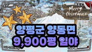 ( 매각 완료)[경매 177] - 양평 양동면 단석리 임야 9,900평