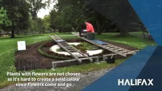 Halifax Public Gardens Carpet Bed creation