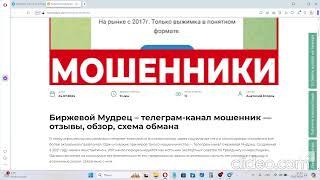 ТГ Биржевой Мудрец Константин Волков: отзывы о сомнительных инвестиционных стратегиях