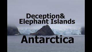 Antarctica - Boring Deception & Elephant islands, with a surprise polar plunge in the middle