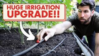 Full Tour of my NEW Automatic Irrigation System!