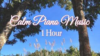 1 Hour of Music to Calm, Sleep, Meditate | Calm Instrumental Piano