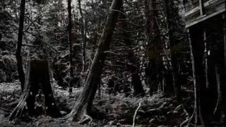 Wolves In The Throne Room - I Will Lay Down My Bones Among the Rocks and Roots