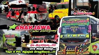 Ora Niat Balap‼️Luragung ANAKJAWA Malah diajak DRAGRACE sm RENGGANIS Kreo , WULAN ,JARJAY & KALEBAS