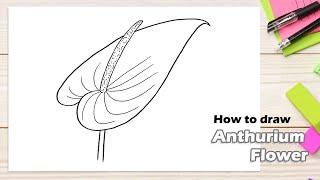 How to draw Anthurium Flower