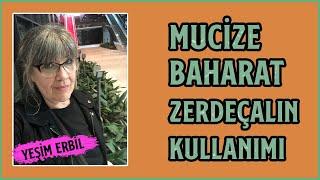 Zerdeçalın En Uygun Kullanımı | Mucize Baharat Zerdeçalın Faydaları Nelerdir?