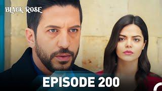 Black Rose Episode 200