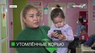 Вирус с осложнениями: чем опасна корь и почему нужны прививки