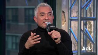 Cesar Milan On “Cesar 911” | AOL BUILD