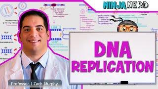 Cell Biology | DNA Replication 