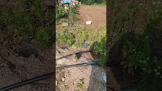 전원주택 전망좋은집 명지산 운악산 연인산 를한눈에 구매문의01030161624