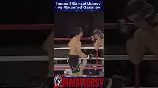 TKO Punches ProFC 34 - Imanali Gamzatkhanov vs Magomed Gasanov #mma #ProFC #TKO