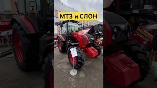 МТЗ и Слон #трактор  #сельскоехозяйство #фермер #