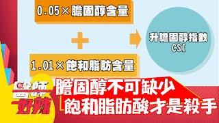 膽固醇不可缺少！「飽和脂肪酸」才是殺手？！【#醫師好辣】20210511 part2 EP1147 陳榮堅 劉涵竹