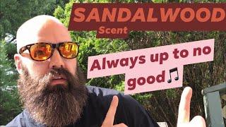 What is Sandalwood Scent ️