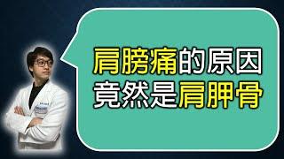 肩膀痛竟然是肩胛骨的問題！前鋸肌訓練｜羅伯特物理治療