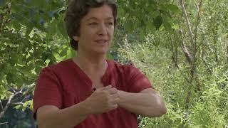 L'ART DU CHI avec Inès Périlleux - 05 - La Fleur de Lotus